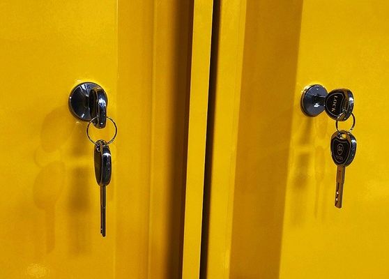 comprare Chemical Storage Cabinet with 109x46x123CM, 109x46x165CM, and 109x86x165CM Sizes for Hazardous Material Storage fabbricazione online