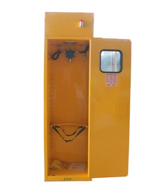 comprare Laboratori Gabinetto di stoccaggio del gas a cilindro singolo Soluzione pratica per la manipolazione controllata del gas fabbricazione online